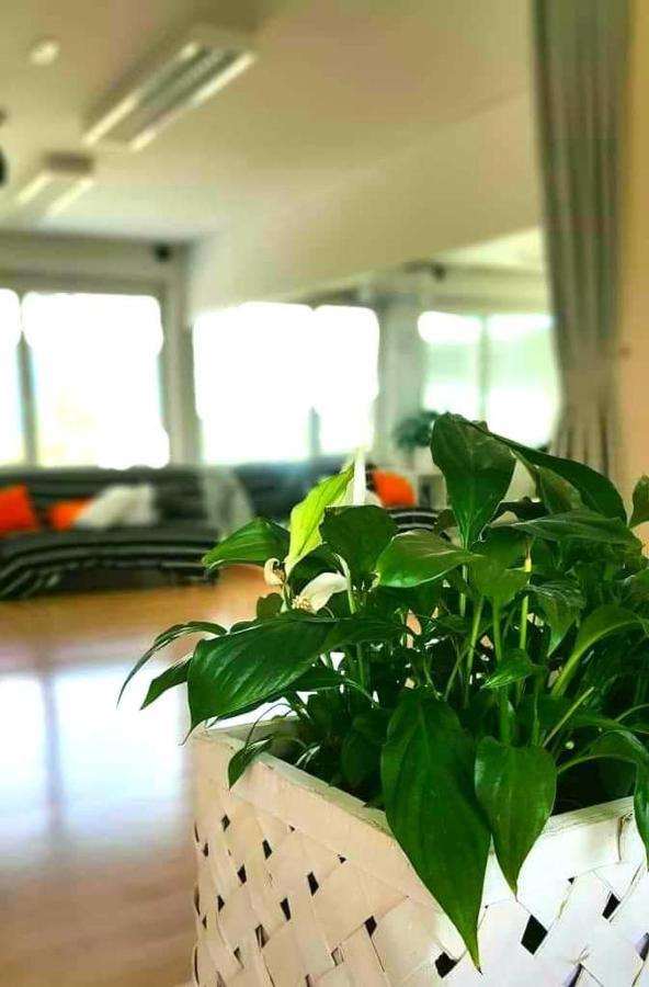 Tej Hostel Ljubljana Kültér fotó